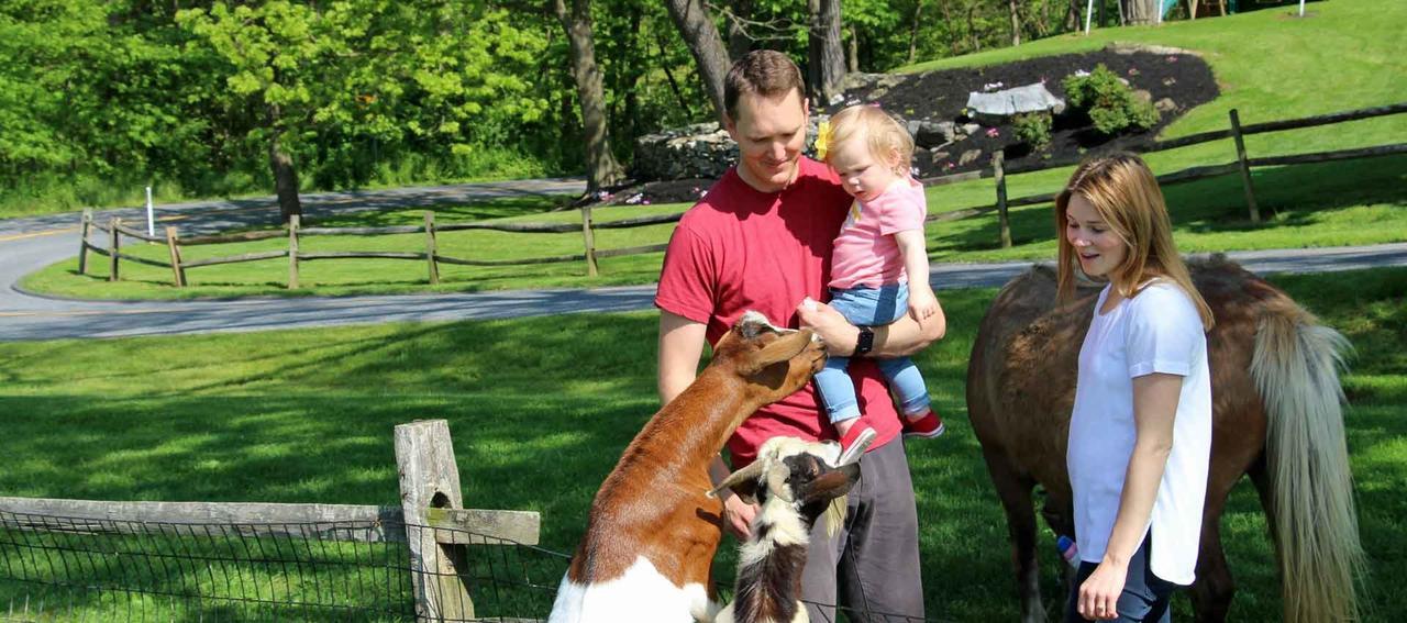 Rocky Acre Farm Bed & Breakfast Mount Joy Buitenkant foto
