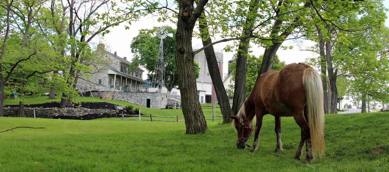 Rocky Acre Farm Bed & Breakfast Mount Joy Buitenkant foto
